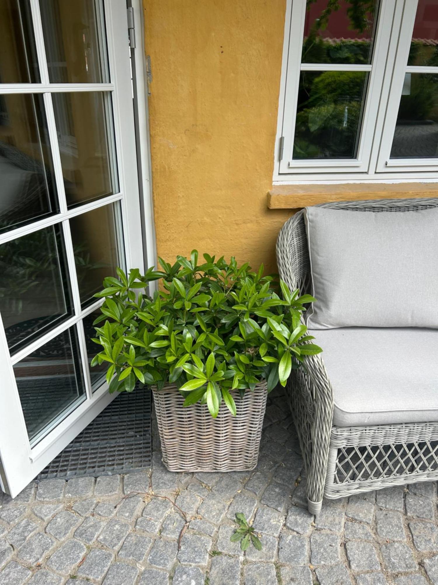 Apartamento Vidunderligt Hus M/Egen Gardhave - Midt I Centrum Aalborg Exterior foto