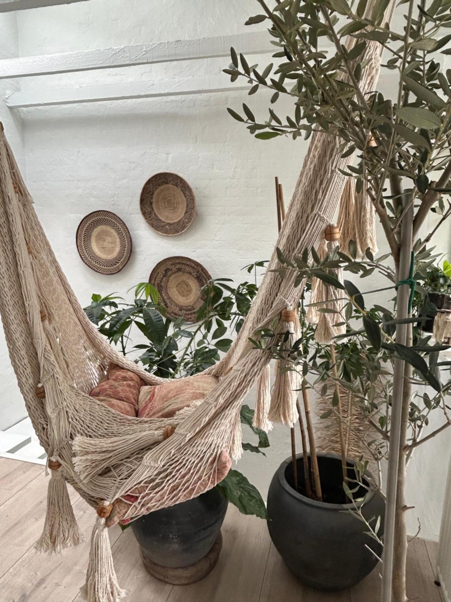 Apartamento Vidunderligt Hus M/Egen Gardhave - Midt I Centrum Aalborg Exterior foto